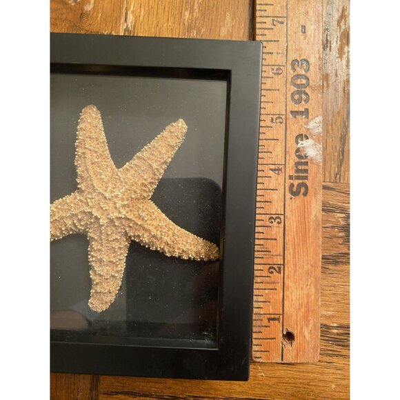 Framed Starfish & Coral Display Wall Art Decor - Picture 6 of 6
